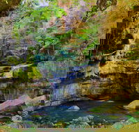 Glimpse of the Outback 5 Day Tour - Roma and Surrounds - Accommodation Kalgoorlie