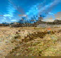 Goldseekers track - Accommodation Kalgoorlie
