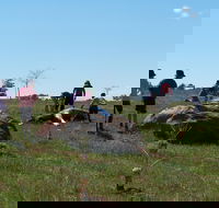 Jim Salmon  Wetland Education Site - Accommodation Kalgoorlie