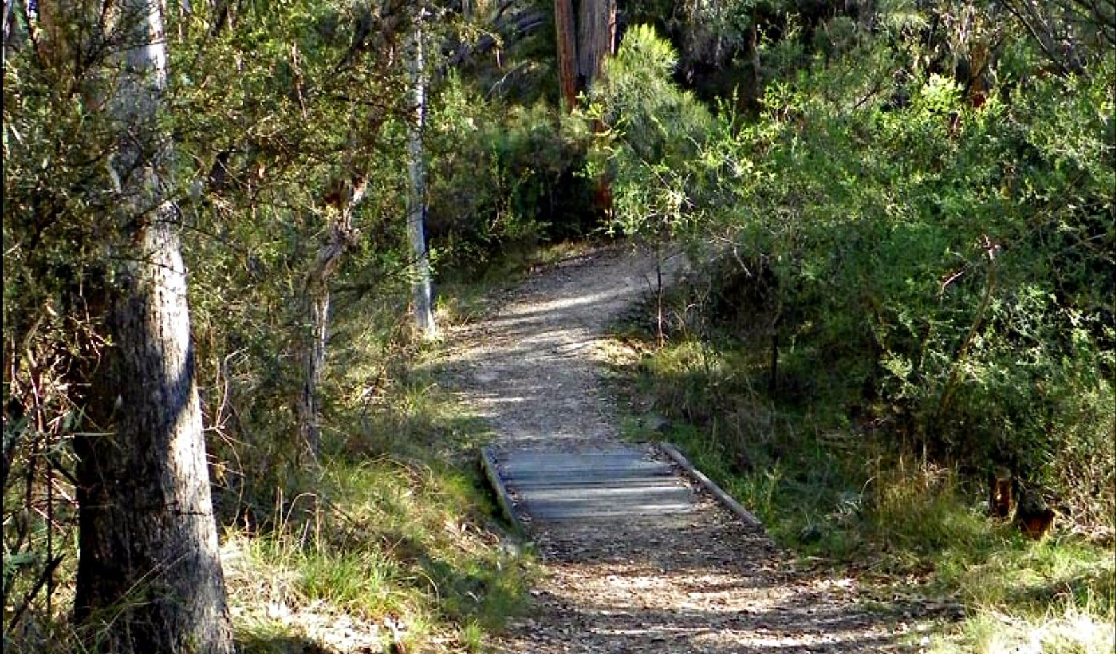 Dangarsleigh NSW Accommodation Kalgoorlie