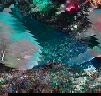 Middle Reef Dive Site - Accommodation Kalgoorlie