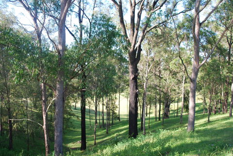 Mount Schoenstatt Spirituality Centre - Accommodation Kalgoorlie 1