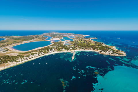Rottnest By Ferry And Bicycle - Accommodation Kalgoorlie 1
