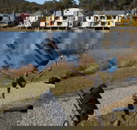 Sculpture Trail at Lake Crackenback Resort and Spa - Accommodation Kalgoorlie