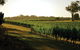 The South West Nature And Wine Drive - thumb 0