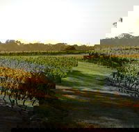 The South West Nature and Wine Drive - Accommodation Kalgoorlie