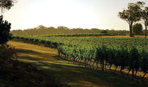 The South West Nature And Wine Drive - Accommodation Kalgoorlie 0