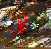 Trees Adventure - Glen Harrow Park - Accommodation Kalgoorlie