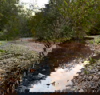 Budawang National Park - Accommodation Kalgoorlie