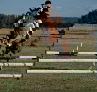 Camden Bicentennial Equestrian Park - Accommodation Kalgoorlie