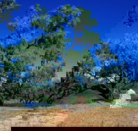 Comet - Accommodation Kalgoorlie