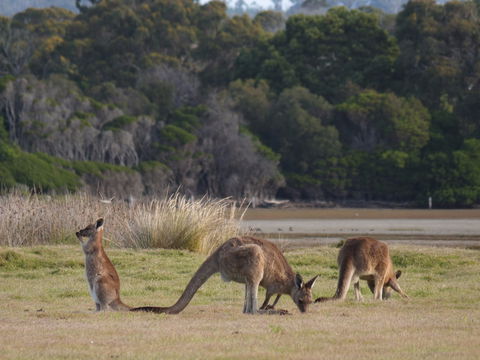Great Nature Trail - Accommodation Kalgoorlie 0