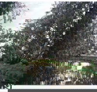 Henty Government Dam Nature Reserve - Accommodation Kalgoorlie