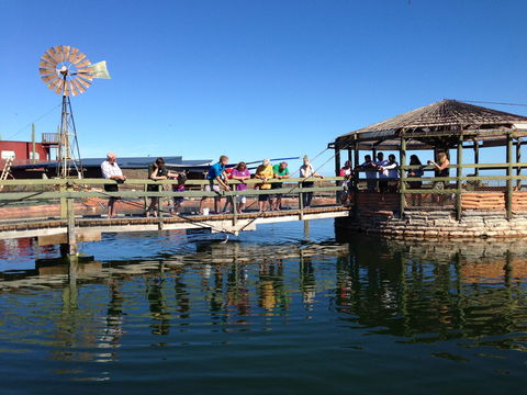 Ocean Park Aquarium - Accommodation Kalgoorlie 0