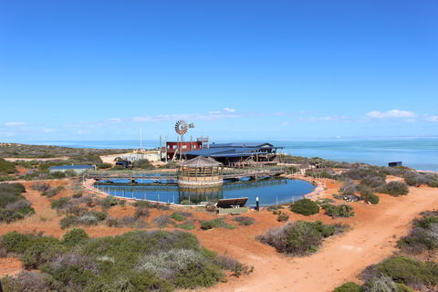 Ocean Park Aquarium - Accommodation Kalgoorlie 1