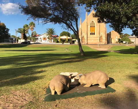 Queen Square, Moonta - Accommodation Kalgoorlie 0