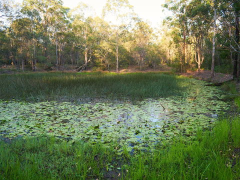 Raysource Road - Accommodation Kalgoorlie 2
