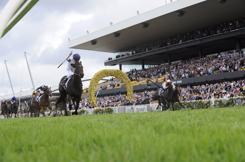 Rosehill Gardens Racecourse - Accommodation Kalgoorlie 1