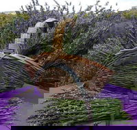 Rustique Lavender Farm - Accommodation Kalgoorlie