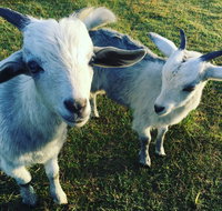 Splitters Farm - Accommodation Kalgoorlie