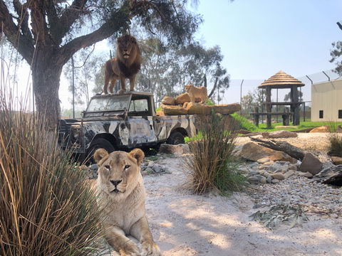 Zambi Wildlife Retreat - Accommodation Kalgoorlie 0