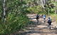 Andersons Trail - thumb 0
