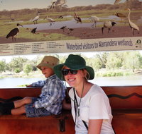 Bird Watching in Narrandera - Accommodation Kalgoorlie