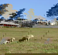Calmsley Hill City Farm - Accommodation Kalgoorlie