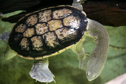 Discover Deadly - Accommodation Kalgoorlie 1