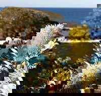 Green Island Walking Track - Accommodation Kalgoorlie