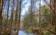 Horton Falls And Walks - thumb 2
