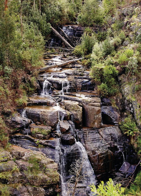 Kinglake National Park - Accommodation Kalgoorlie 1