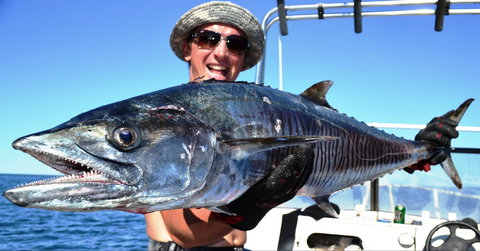 Mackerel Islands - Accommodation Kalgoorlie 2