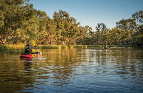 Macquarie Marshes Nature Reserve - Accommodation Kalgoorlie 0