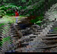 Montezuma Falls - Accommodation Kalgoorlie