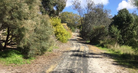 Naracoorte North Nature Park - Accommodation Kalgoorlie 0