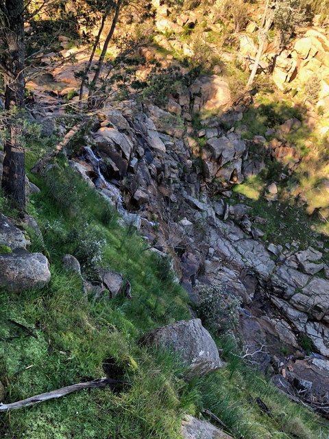 Pine Gully Nature Trail - Accommodation Kalgoorlie 0