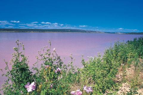 Port Gregory - Accommodation Kalgoorlie 0