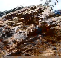 Rock Climbing in Morialta - Accommodation Kalgoorlie