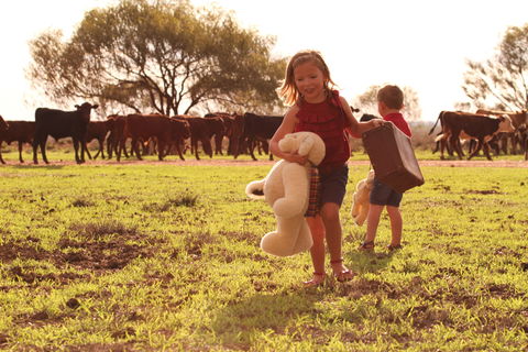 Tambo Teddies - Accommodation Kalgoorlie 1