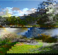 Tasmanian Arboretum Inc. - The - Accommodation Kalgoorlie