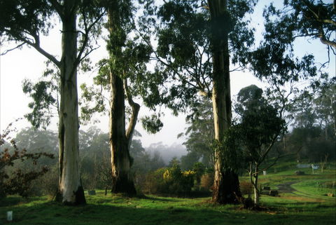 Tasmanian Arboretum Inc. - The - Accommodation Kalgoorlie 1