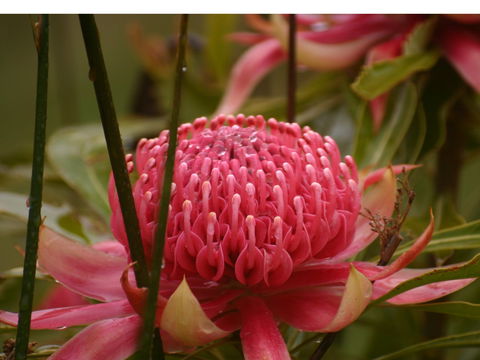Vortex Healing Centre - Accommodation Kalgoorlie 2