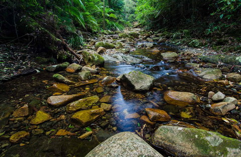 Willi Willi National Park - Accommodation Kalgoorlie 0
