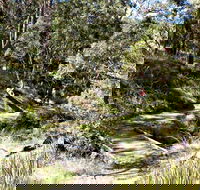 Wollomombi Walking Track - Accommodation Kalgoorlie