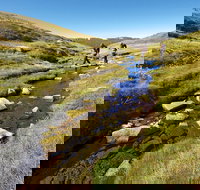 Australian Alps Walking Track - Accommodation Kalgoorlie