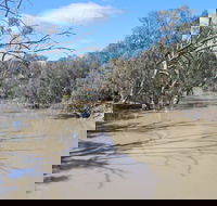 Bush Tucker Trail