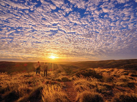 Cape Range Wildflower Trail - Accommodation Kalgoorlie 2