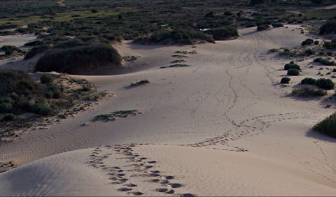 Foreshore Walk, Mungo National Park - Accommodation Kalgoorlie 0