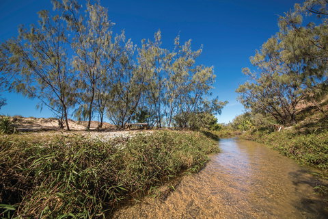 Freshwater Creek Track, Byfield National Park - Accommodation Kalgoorlie 0